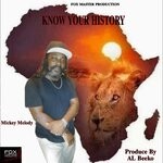 cover: Mickey Melody - Know Your History