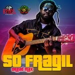 cover: Dread Max - So Fragil