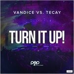 cover: Tecay - Turn It Up!