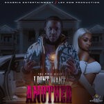 cover: Island Boii - I Don't Want Another