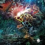 cover: Stereoxide - Tryptamine Tales