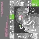 cover: Sulk Rooms|Thomas Ragsdale - Winter Visit