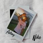 cover: Niko - Falling