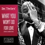 cover: Zac "the Guru" - What You Won't Do For Love (Hula's Soulful Mix)