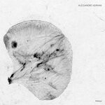 cover: Alessandro Adriani - Embryo