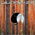 cover: Various - Junglizm V.2