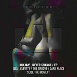 cover: Mkjay - Never Change