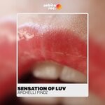 cover: Archelli Findz - Sensation Of Luv