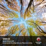 cover: Seba Gs - Beautiful Life