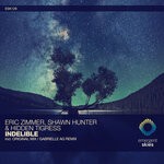 cover: Eric Zimmer|Hidden Tigress|Shawn Hunter - Indelible