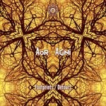 cover: Aor Agni - Footprints