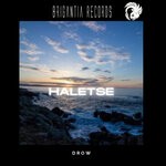 cover: Drow - Haletse