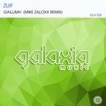 cover: Zuif - Gaillimh (Mike Zaloxx Remix)