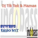 cover: Dj Tik Tok|Mamae - Suweng