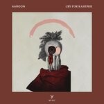 cover: Aaroon - Cry For Kashmir