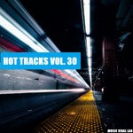 cover: Various - Hot Tracks Vol 30