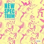 cover: New Spectrum - The Party's Shaking