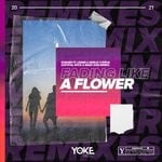 cover: Robaer Feat Leines|Emelie Cyreus - Fading Like A Flower (Crystal Rock & Marc Kiss Remix)