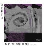 cover: Various - Depth Impressions Issue #23