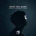 cover: Marmy|Moodygee|Tsebster - Into The Dark