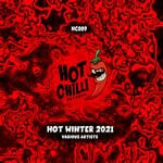 cover: Various - Hot Winter 2021