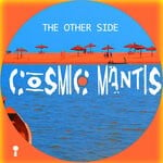 cover: Cosmic Mantis - The Other Side