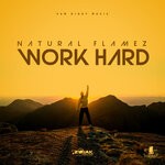 cover: Natural Flamez|Sam Diggy - Work Hard