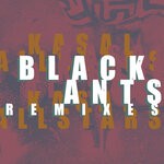 cover: Kasai Allstars - Black Ants Remixes