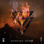 cover: Dueterzi - BURNING DOWN