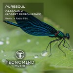 cover: Puresoul - Dragonfly (Robert Reazon Remix)