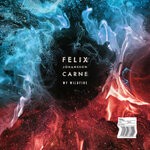 cover: Felix Johansson Carne - My Wildfire