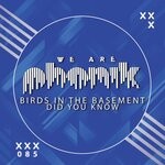 cover: Birds In The Basement - Did You Know (Extended Mix)