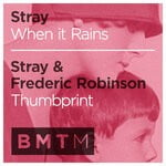 cover: Stray - When It Rains