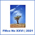 cover: Johannes Schimpelsberger - FMco No XXVI 2021