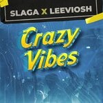 cover: Leeviosh|Slaga - Crazy Vibes