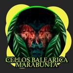 cover: Cellos Balearica - Marabunta