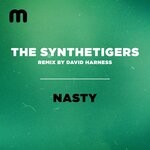 cover: The Synthetigers - Nasty