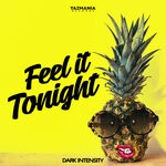 cover: Dark Intensity - Feel It Tonight