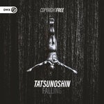 cover: Tatsunoshin - Falling (Extended Mix)