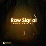 cover: Raw Siqnal - Rainy Days