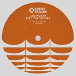 cover: Clu Polar - Feel The Future