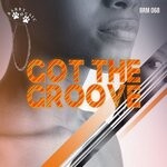 cover: Vito Lalinga - Got The Groove