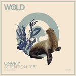 cover: Onur Y - Attention