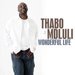 cover: Thabo Mdluli - Wonderful Life