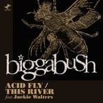 cover: Biggabush - Acid Fly/This River