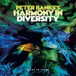 cover: Peter Banks - Peter Banks's Harmony In Diversity: What Is This?