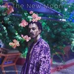 cover: Esbee The Songwriter - The New Moon