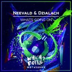 cover: Dzialach|Neevald - Whats Going On