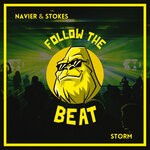 cover: Navier & Stokes - Storm