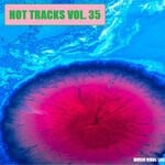 cover: Various - Hot Tracks Vol 35